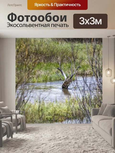 Фотообои ствол дерева в воде