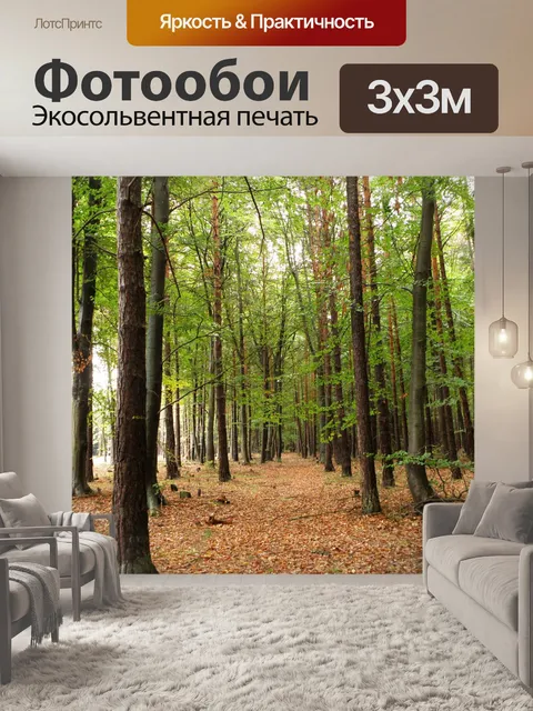 Фотообои Лес