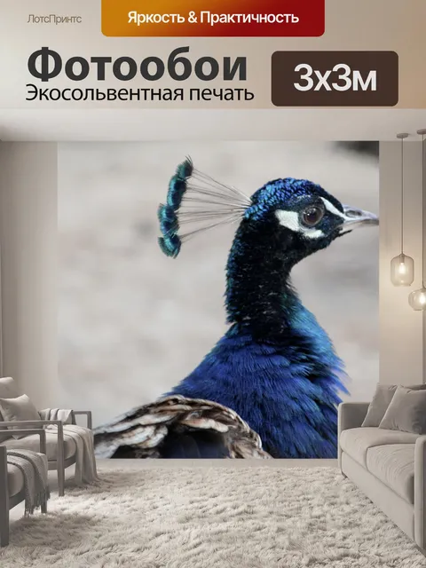 Фотообои Павлин