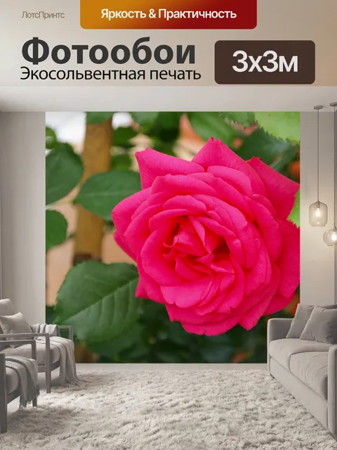 Фотообои Розы
