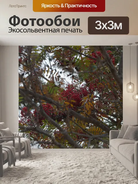 Фотообои Фрукты
