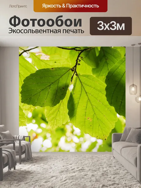 Фотообои Дерево