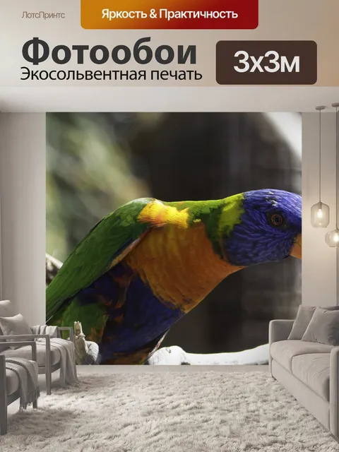 Фотообои Птицы