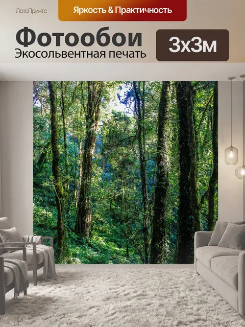 Фотообои Тропический лес в Дои Интанон, Чиангмай