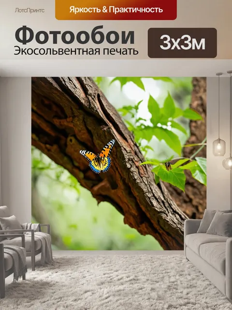 Фотообои бабочки