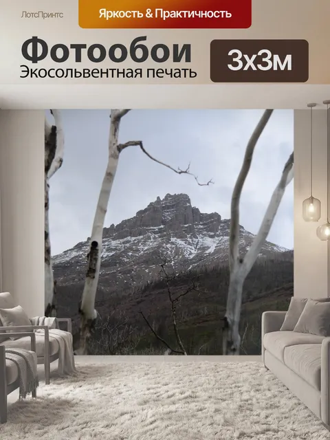 Фотообои Деревья в горах