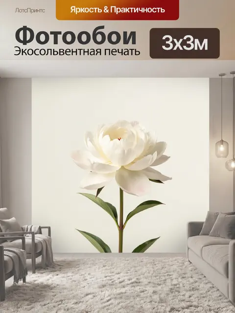 Фотообои Белый цветок с зелеными листьями