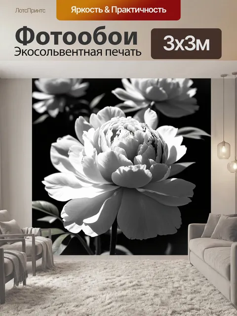Фотообои пионы в черно-белом стиле с мягкими тенями