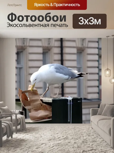 Фотообои Птица