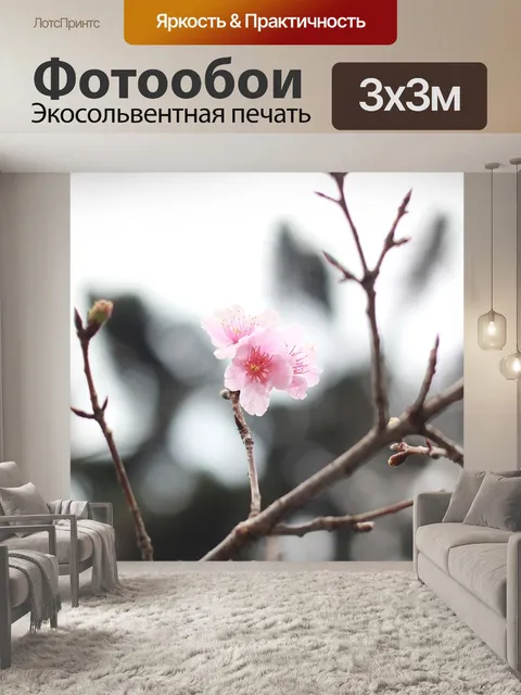 Фотообои Персиковый цвет