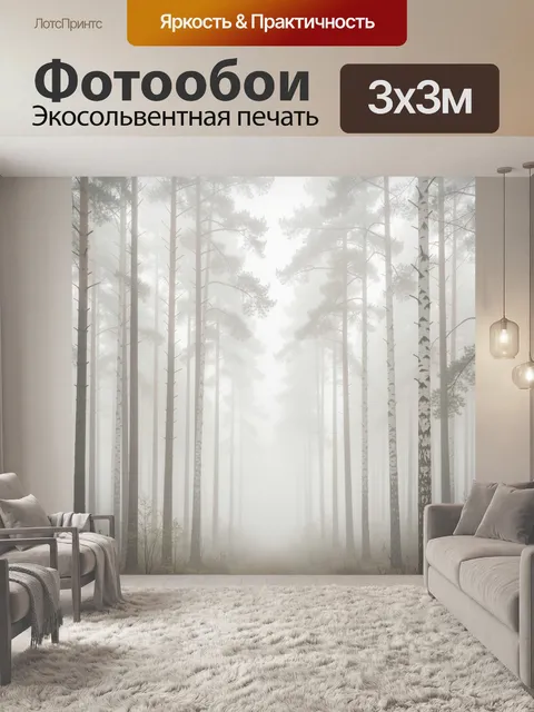 Фотообои Туманный лес с березами