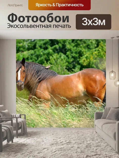 Фотообои Лошадь