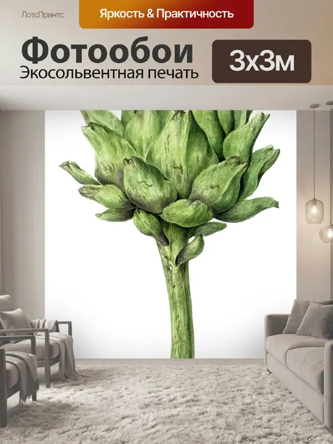 Фотообои Артишок