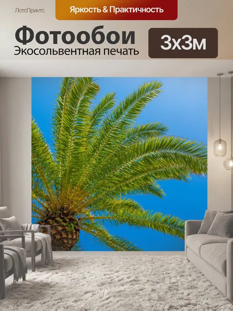 Фотообои Пальмы и голубое небо