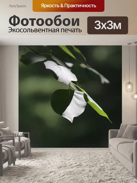 Фотообои Лист