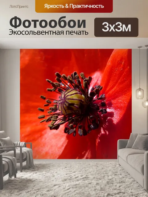 Фотообои Мак