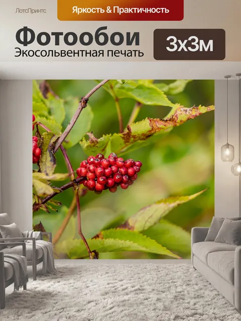 Фотообои Ягоды