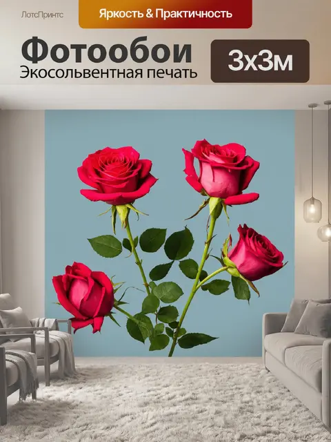 Фотообои розы в стиле минимализм