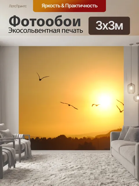 Фотообои Чайки на закате