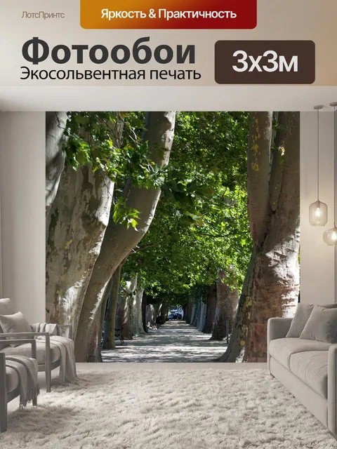 Фотообои Дорога