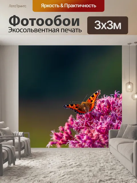 Фотообои Бабочка
