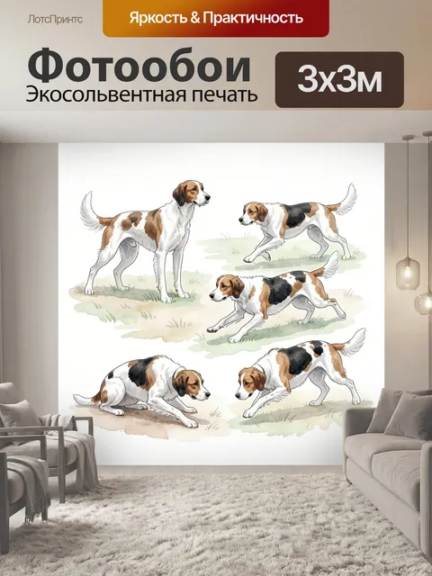 Фотообои Трехцветные охотничьи собаки на траве