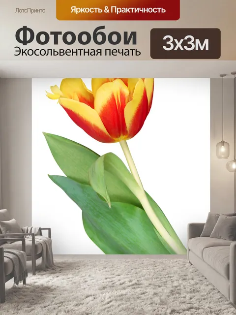 Фотообои Цветы