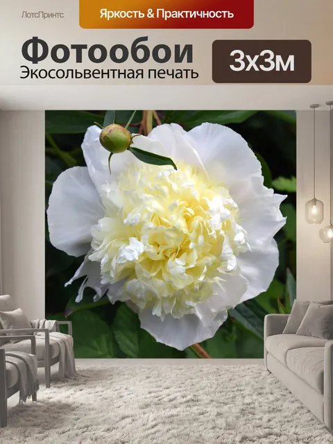 Фотообои Пион