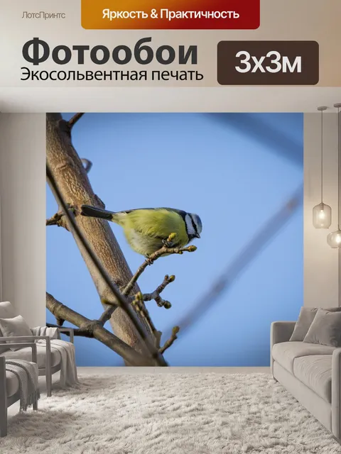 Фотообои Великая Тит