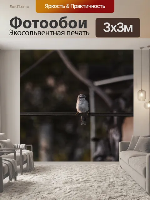 Фотообои Птицы