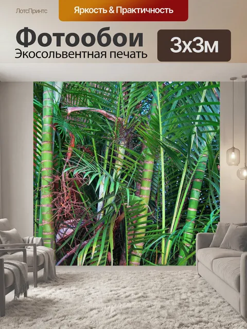 Фотообои бамбук в саду