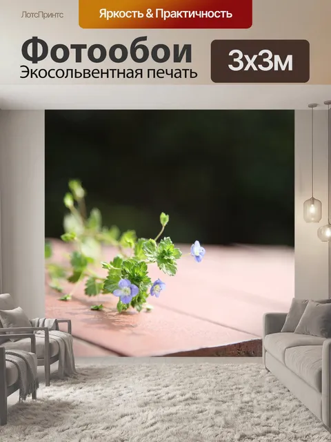 Фотообои Пейзаж