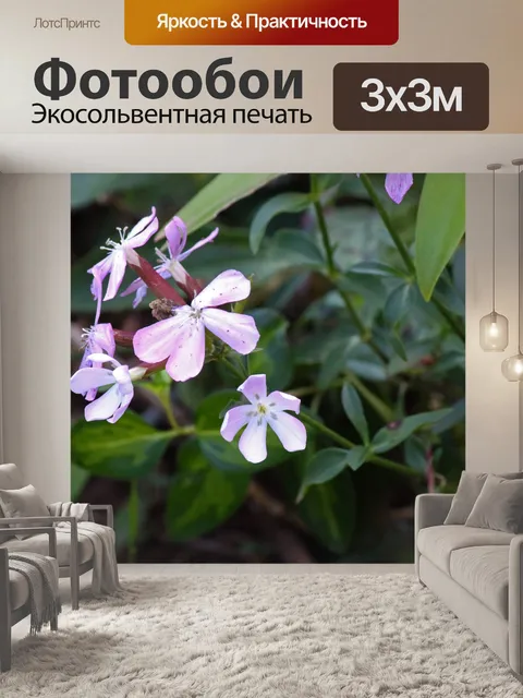 Фотообои розовые цветы мыльницы в саду