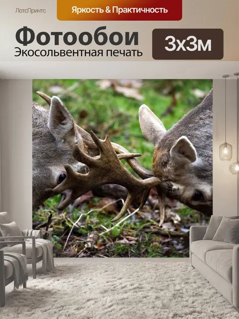 Фотообои Лань