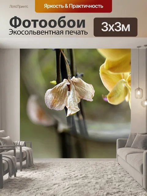 Фотообои Очки
