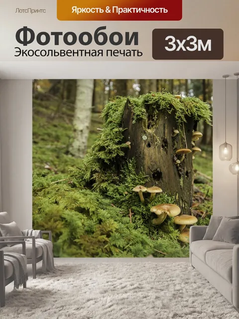 Фотообои Лес