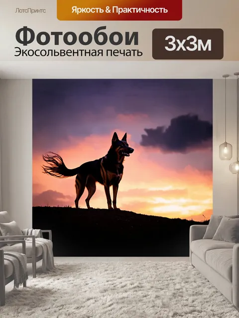 Фотообои немецкая овчарка стоит на вершине холма, любуясь закатом, который окрашивает небо в оранжевые и пурпурные тона