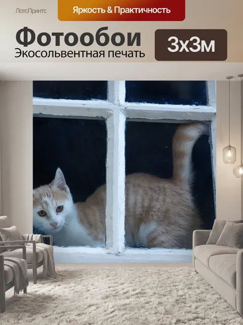 Фотообои Кошка