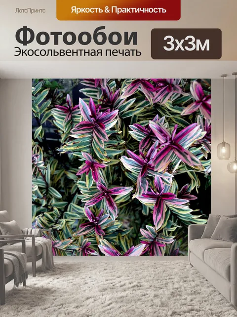 Фотообои зеленые и красные листья