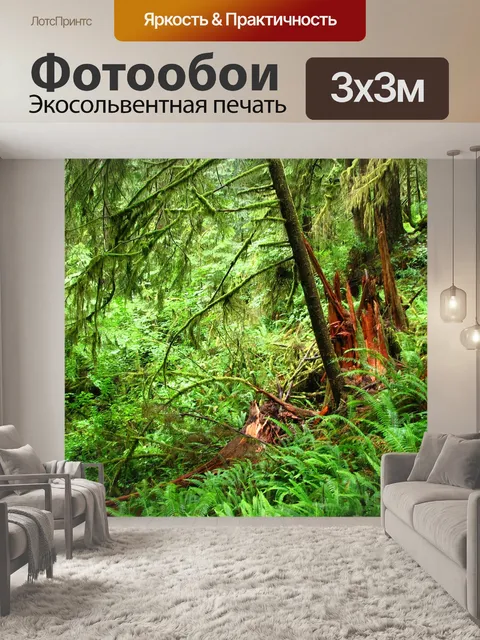Фотообои Тропический лес