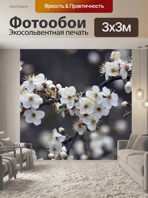 Фотообои Белые цветки