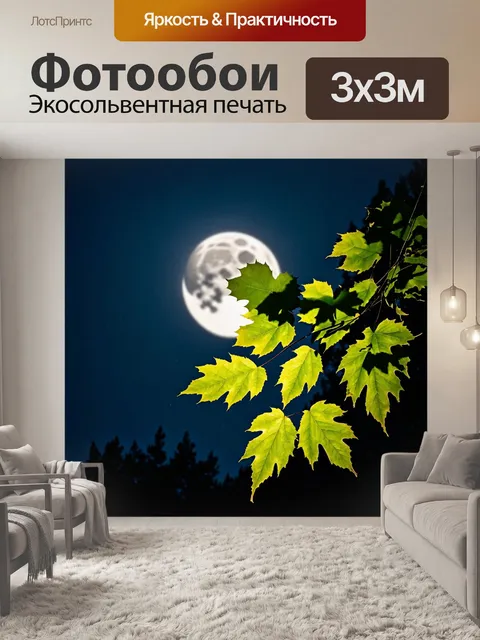 Фотообои с листьями на насыщенном фоне ночного неба