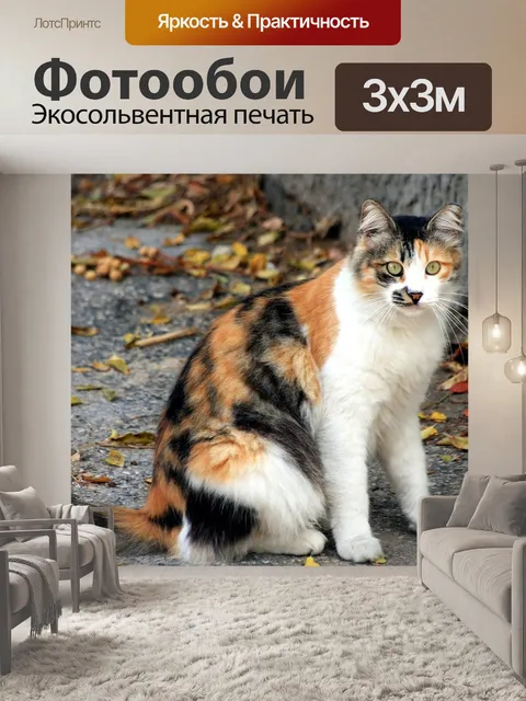 Фотообои Кошка