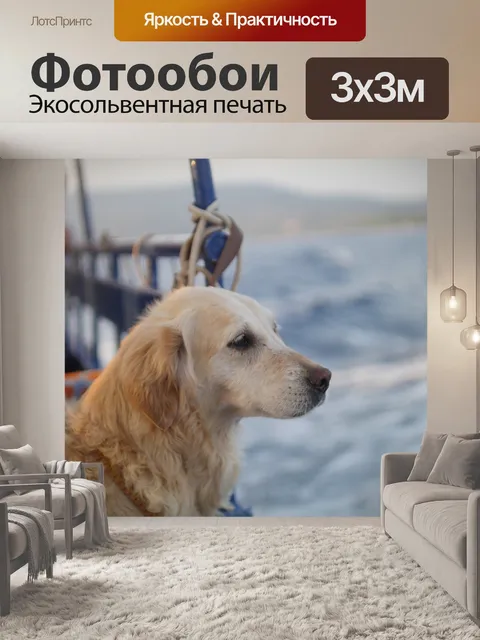 Фотообои Собака