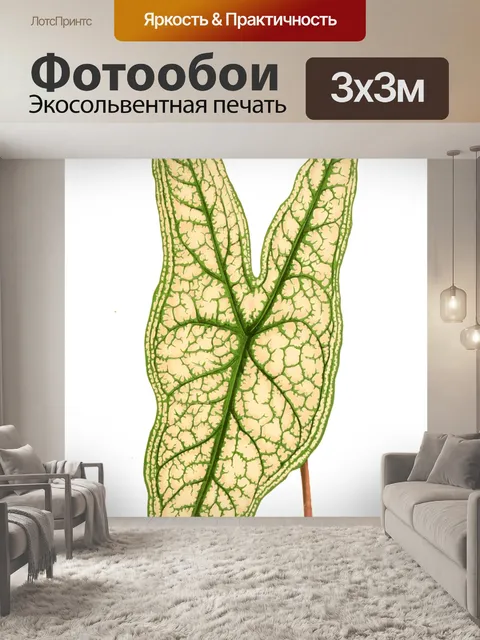 Фотообои Листва лист растение прозрачный