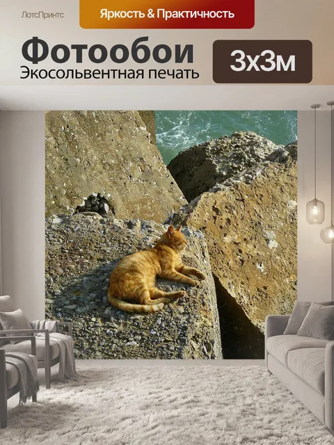 Фотообои Кот