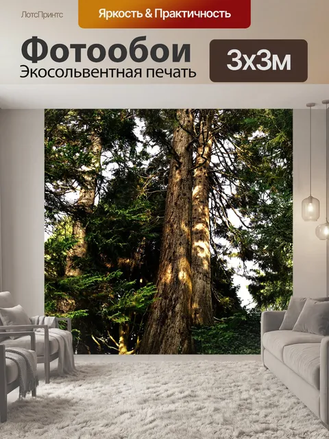 Фотообои Лес