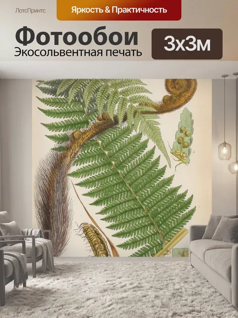Фотообои Иллюстрация листьев папоротника