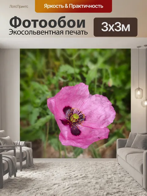 Фотообои Мак