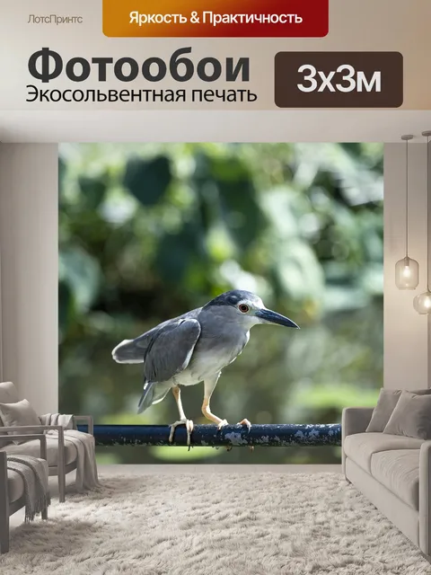 Фотообои Птица
